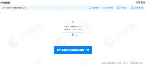 小鵬汽車新設銷售服務公司，注冊資本1000萬并涉足域名注冊服務